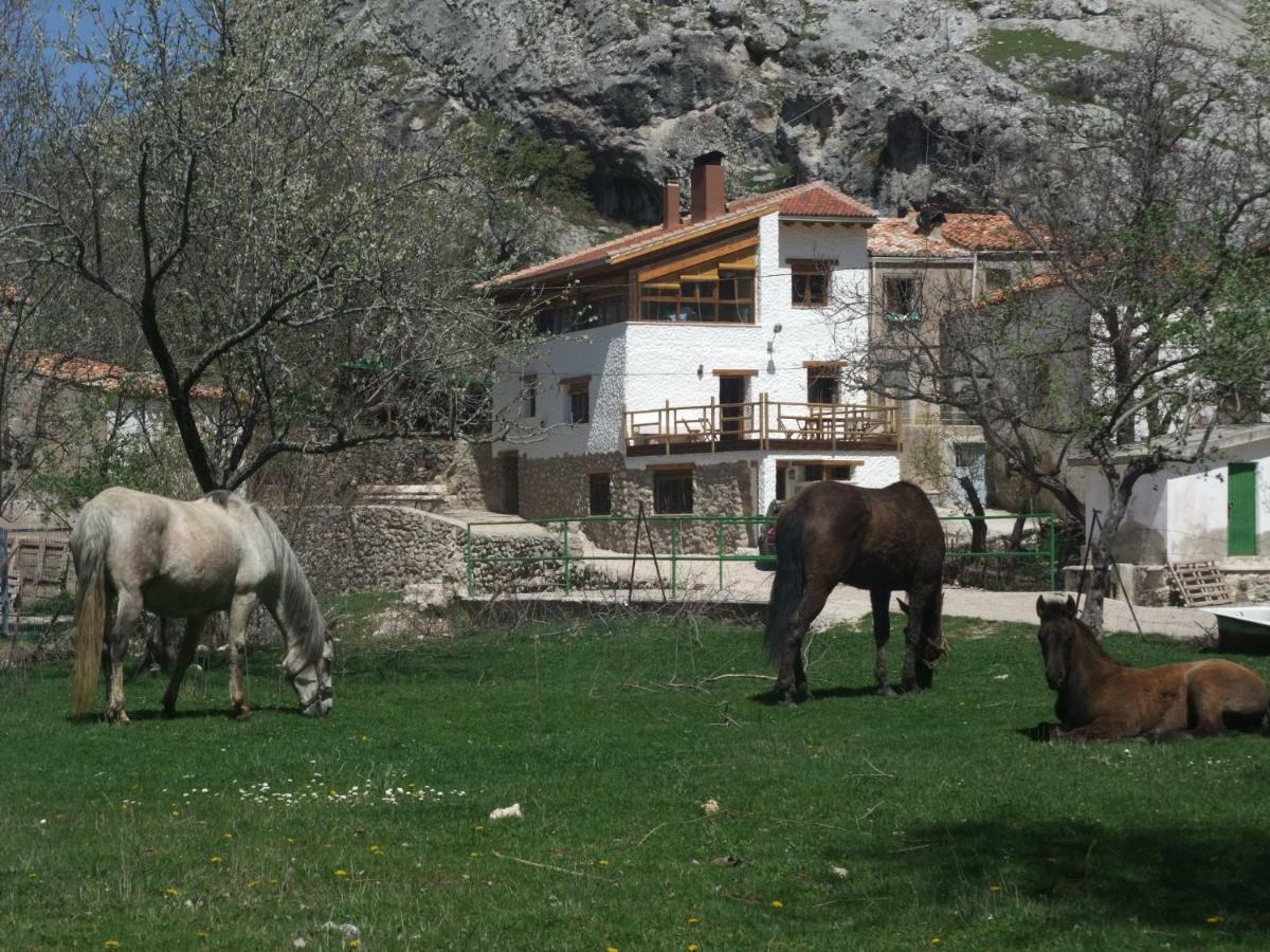 Casas Rurales El Nacimiento Pontones  Exteriér fotografie
